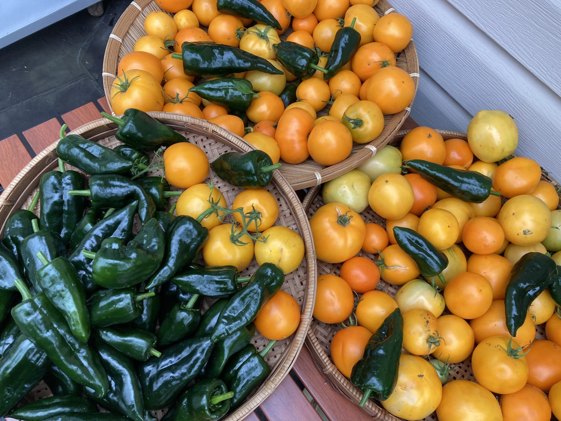Peppers and Tomatoes